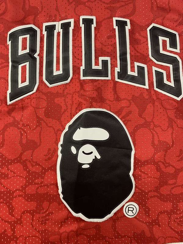 Chicago Bulls 1996/97 BAPE #93 Red Classics Basketball Jersey (Stitched)