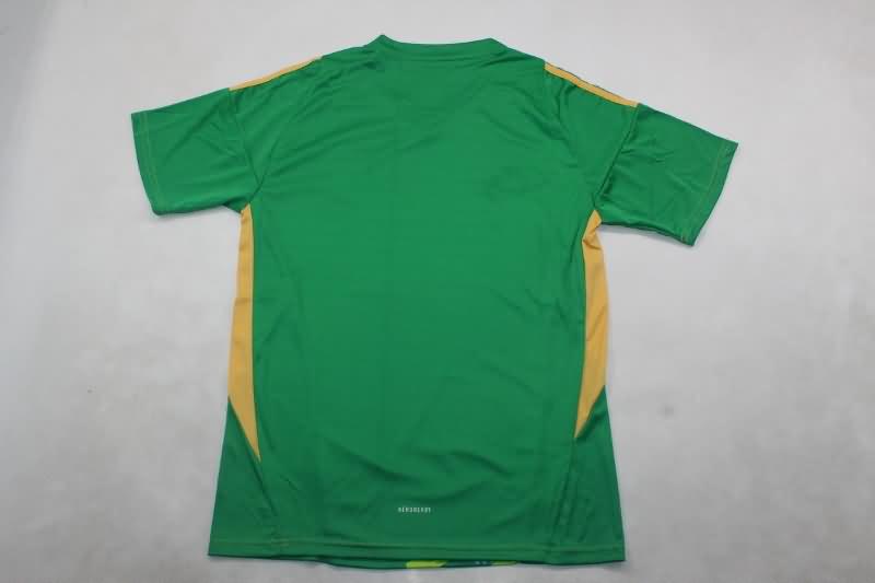 AAA(Thailand) Juventus 24/25 Goalkeeper Green Soccer Jersey