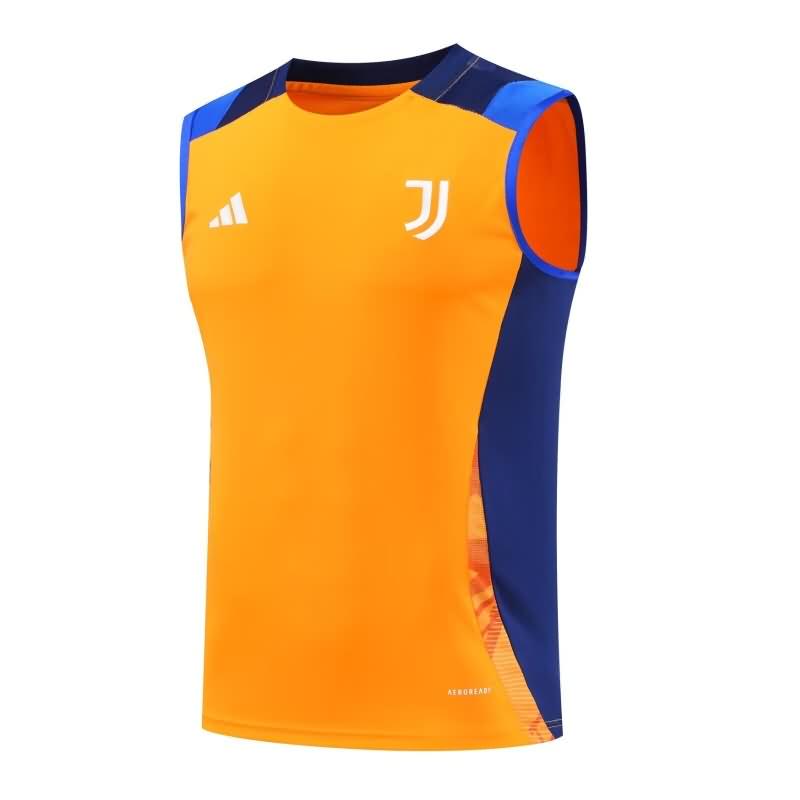 AAA(Thailand) Juventus 24/25 Training Vest Soccer Jersey 03