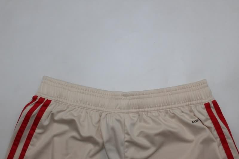 AAA(Thailand) Bayern Munich 24/25 Third Soccer Shorts