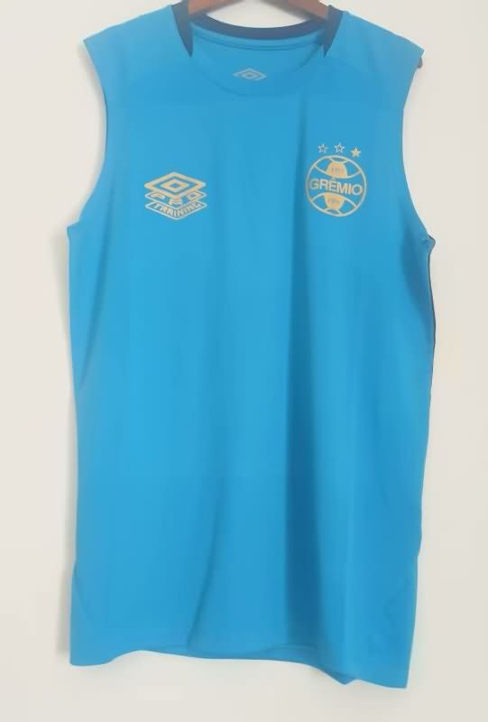 AAA(Thailand) Gremio 2025 Training Vest Soccer Jersey AAA(Thailand) Gremio 2025 Training Vest Soccer Jersey