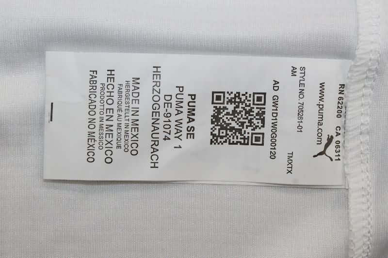 AAA(Thailand) Monterrey 25/26 Home Soccer Jersey