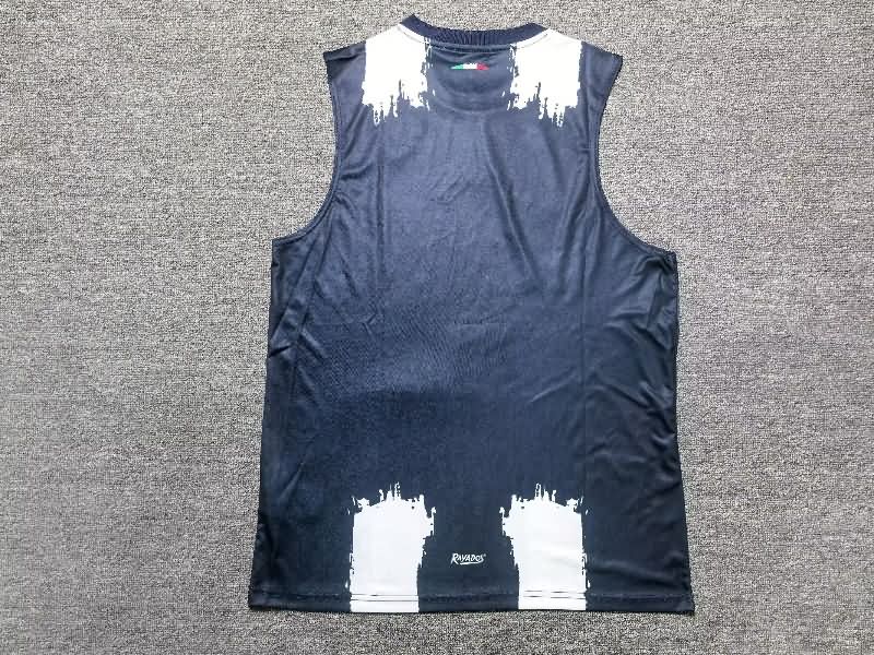 AAA(Thailand) Monterrey 25/26 Training Vest Soccer Jersey