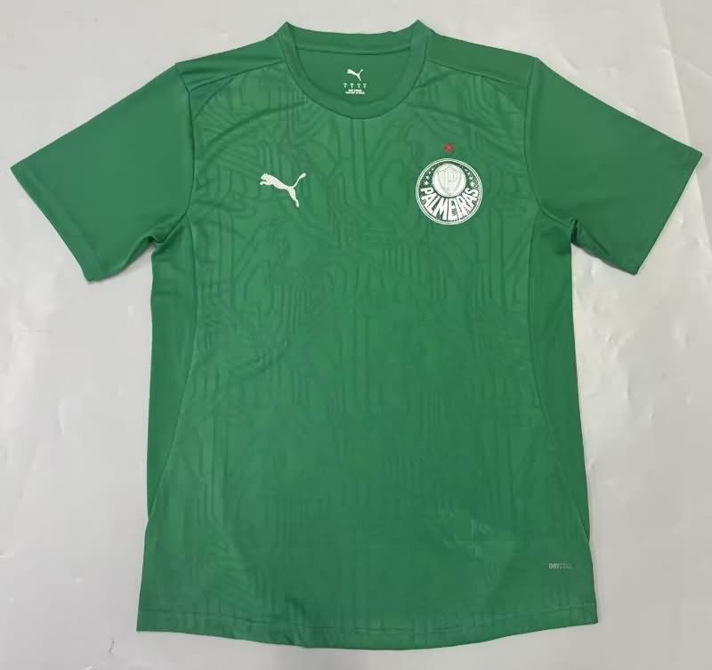 AAA(Thailand) Palmeiras 2025 Goalkeeper Green Soccer Jersey AAA(Thailand) Palmeiras 2025 Goalkeeper Green Soccer Jersey