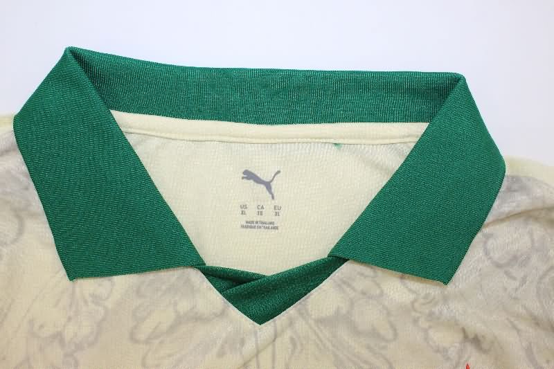 AAA(Thailand) Palmeiras 2025 Third Soccer Jersey