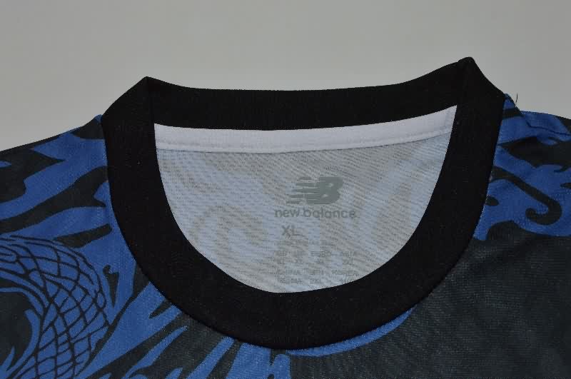 AAA(Thailand) Porto 25/26 Special Soccer Jersey 03