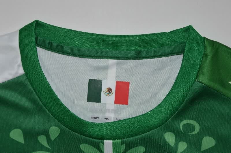 AAA(Thailand) Real Betis 25/26 Special Soccer Jersey 03