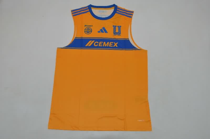 AAA(Thailand) Tigres Uanl 25/26 Training Vest Soccer Jersey AAA(Thailand) Tigres Uanl 25/26 Training Vest Soccer Jersey
