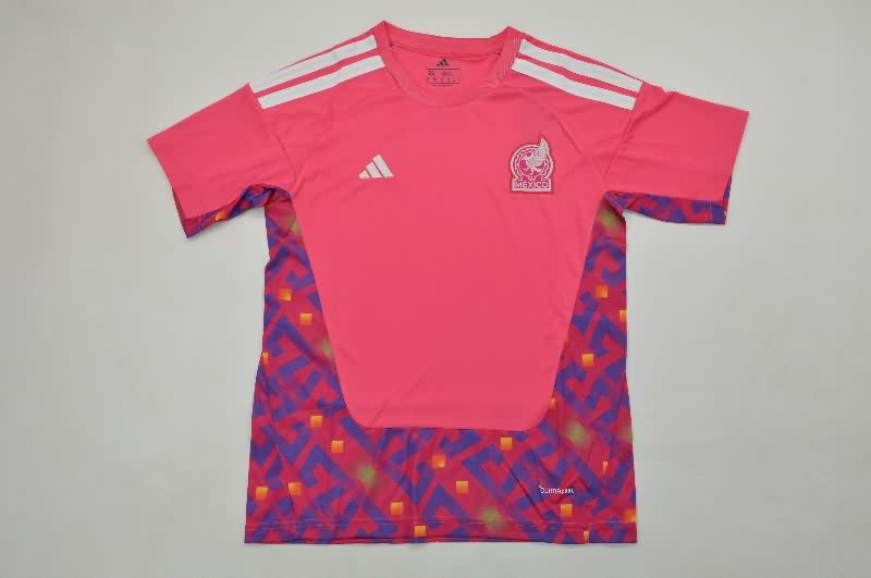Mexico 2026 Kids Goalkeeper Pink Soccer Jersey And Shorts