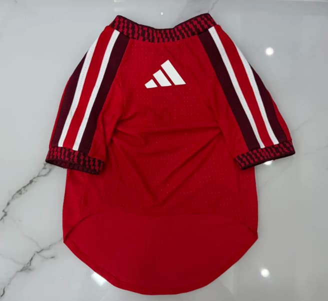AAA(Thailand) Arsenal 26/27 Home Pet Soccer Jersey