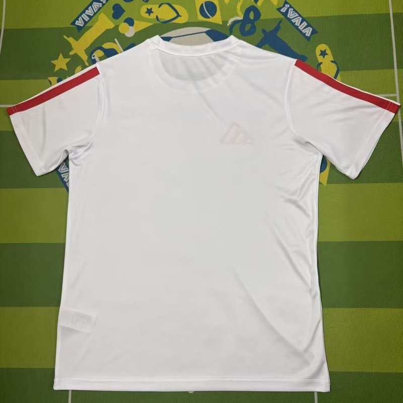 AAA(Thailand) Benfica 26/27 Training Soccer Jersey 05
