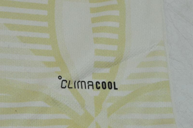AAA(Thailand) Celtic 26/27 Third Soccer Jersey