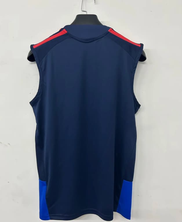 AAA(Thailand) Lyon 26/27 Training Vest Soccer Jersey