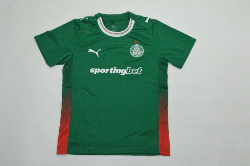 Palmeiras 2026 Kids Home Soccer Jersey And Shorts