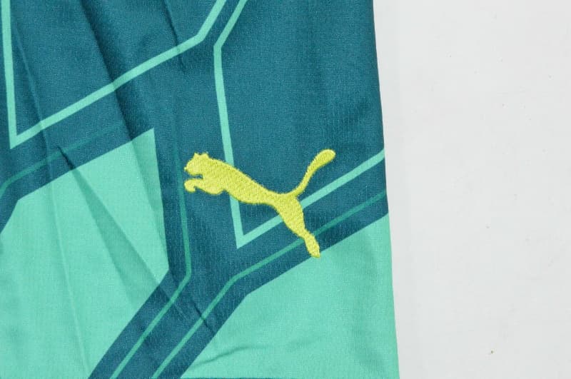 AAA(Thailand) Manchester City 26/27 Goalkeeper Green Soccer Shorts