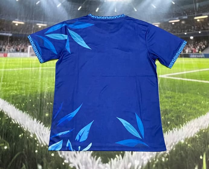 AAA(Thailand) Brazil 2026 Special Soccer Jersey 14