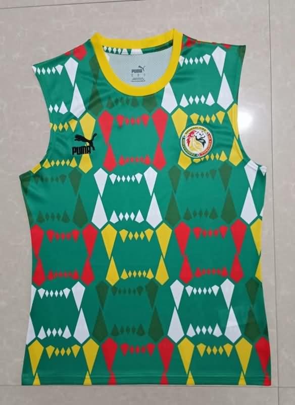AAA(Thailand) Cameroon 2023/24 Training Vest Soccer Jersey