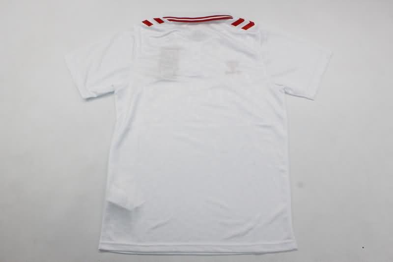 AAA(Thailand) Danmark 2024 Away Soccer Jersey