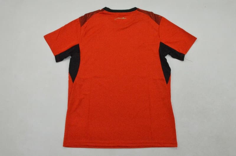 AAA(Thailand) Egypt 2026 World Cup Home Soccer Jersey