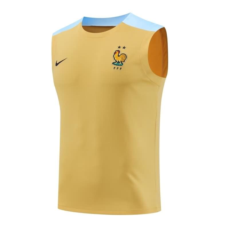 AAA(Thailand) France 2024 Training Vest Soccer Jersey 03