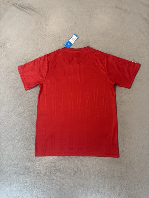 AAA(Thailand) Germany 2026 Training Soccer Jersey 07