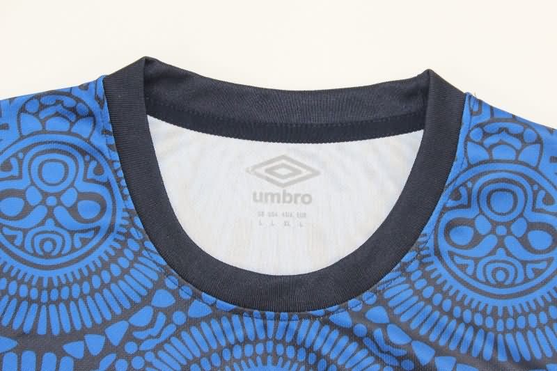 AAA(Thailand) Guatemala 2025 Training Soccer Jersey
