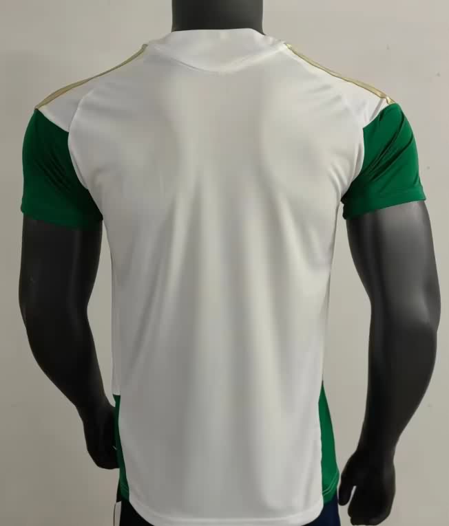 AAA(Thailand) Italy 2026 Training Soccer Jersey 02