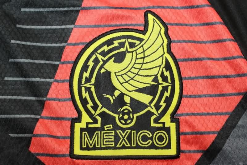 AAA(Thailand) Mexico 2024 Copa America Goalkeeper Black Long Sleeve Soccer Jersey