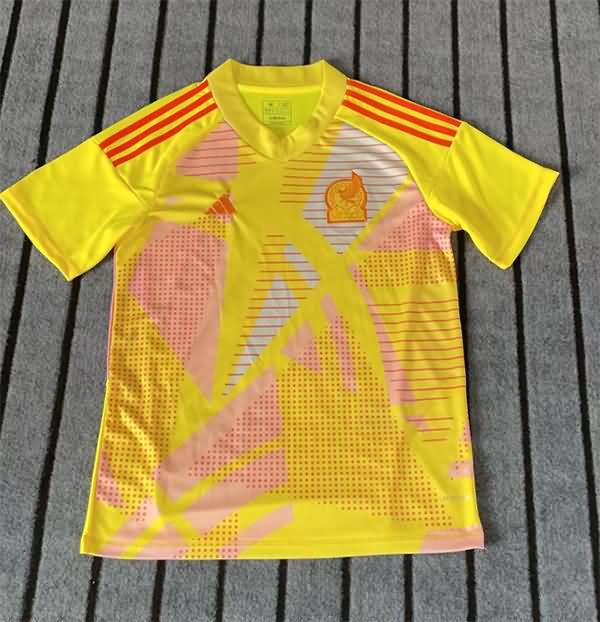 AAA(Thailand) Mexico 2024 Copa America Goalkeeper Yellow Soccer Jersey