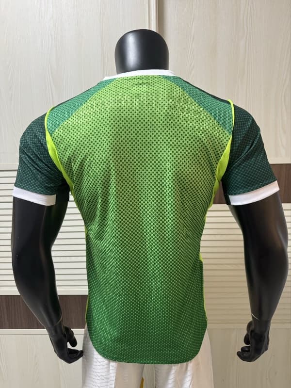 AAA(Thailand) Nigeria 2026 Home Soccer Jersey (Player)