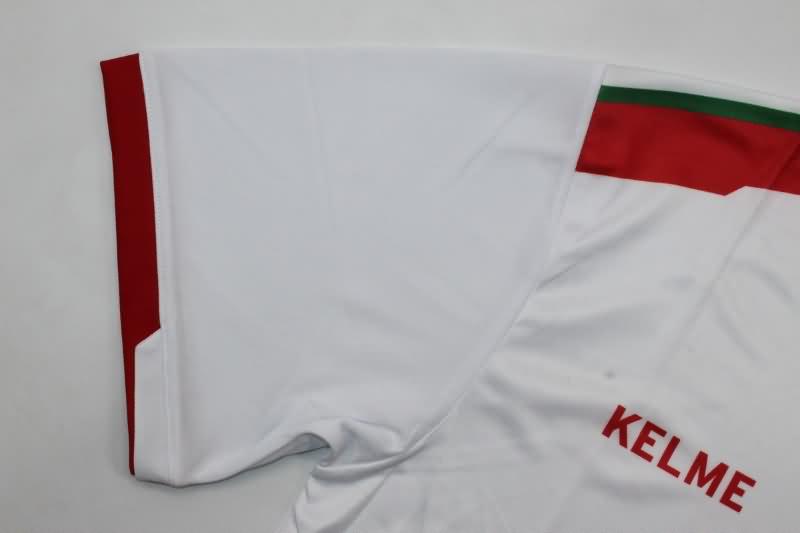 AAA(Thailand) Palestine 2024 Away Soccer Jersey