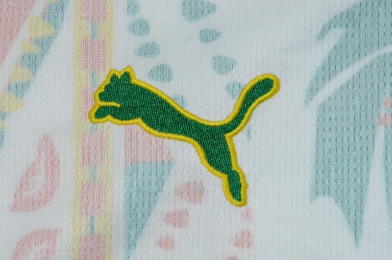 AAA(Thailand) Senegal 2026 Home Soccer Jersey 2 Stars