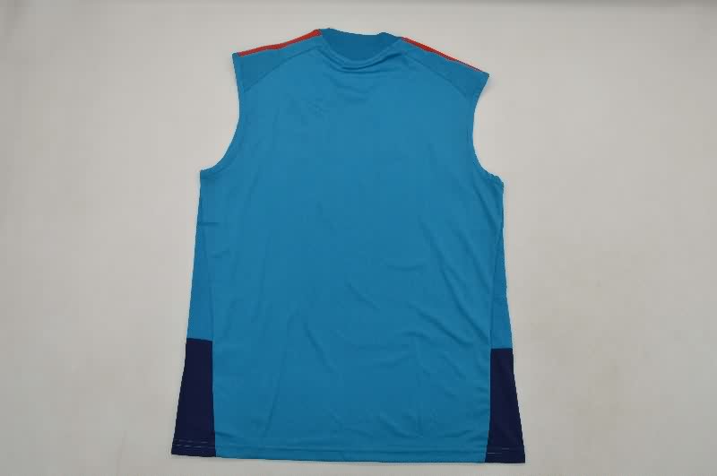 AAA(Thailand) Spain 2026 Training Vest Soccer Jersey