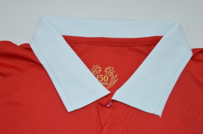 AAA(Thailand) Wales 2026 150th Anniversary Long Sleeve Soccer Jersey