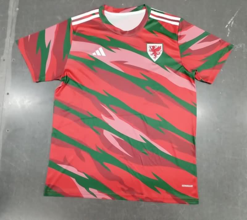 AAA(Thailand) Wales 2024 Training Soccer Jersey