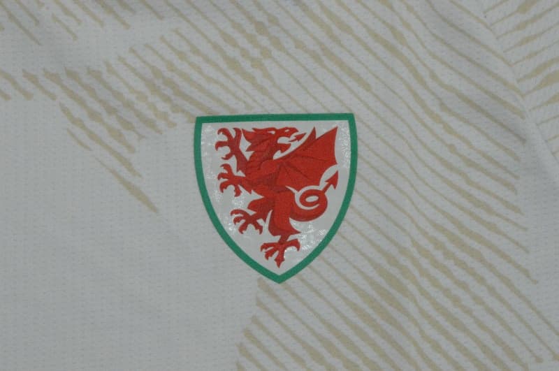 AAA(Thailand) Wales 2026 Away Soccer Jersey (Player)
