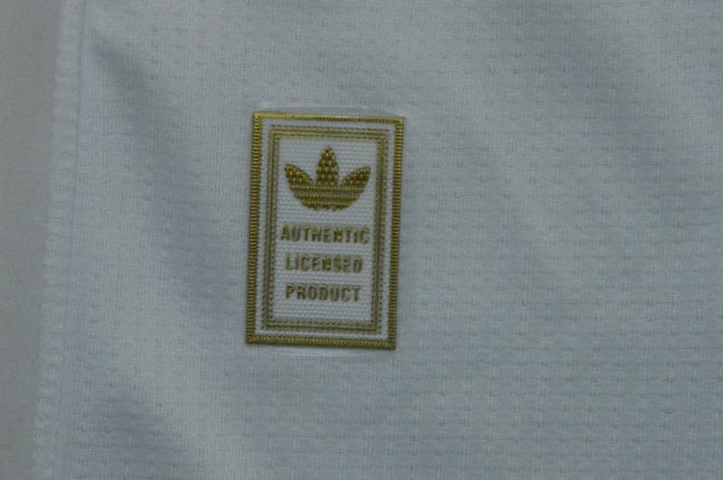 AAA(Thailand) Wales 2026 Away Soccer Jersey (Player)