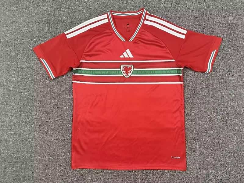 AAA(Thailand) Wales 2026 Home Soccer Jersey AAA(Thailand) Wales 2026 Home Soccer Jersey