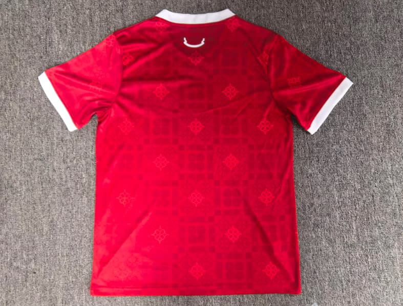 AAA(Thailand) Wales 2027 Home Soccer Jersey