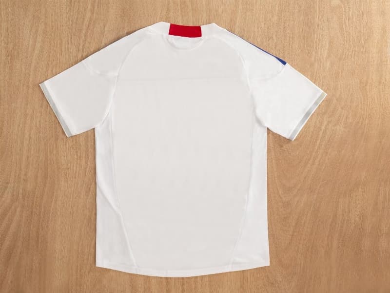 AAA(Thailand) Japan 2010 Away Retro Soccer Jersey