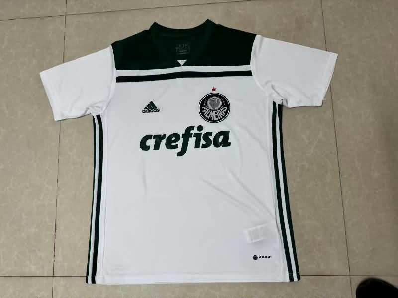 AAA(Thailand) Palmeiras 2018 Away Retro Soccer Jersey
