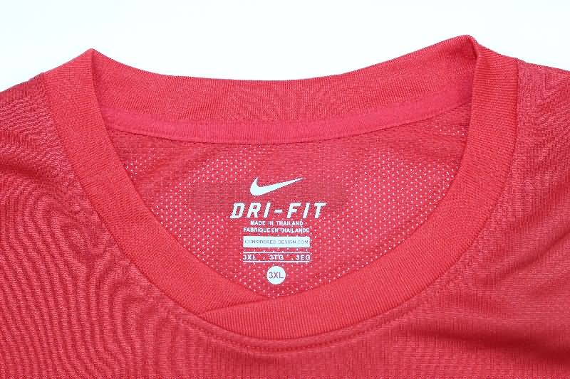 AAA(Thailand) Portugal 2010 Home Long Sleeve Retro Soccer Jersey (Player)