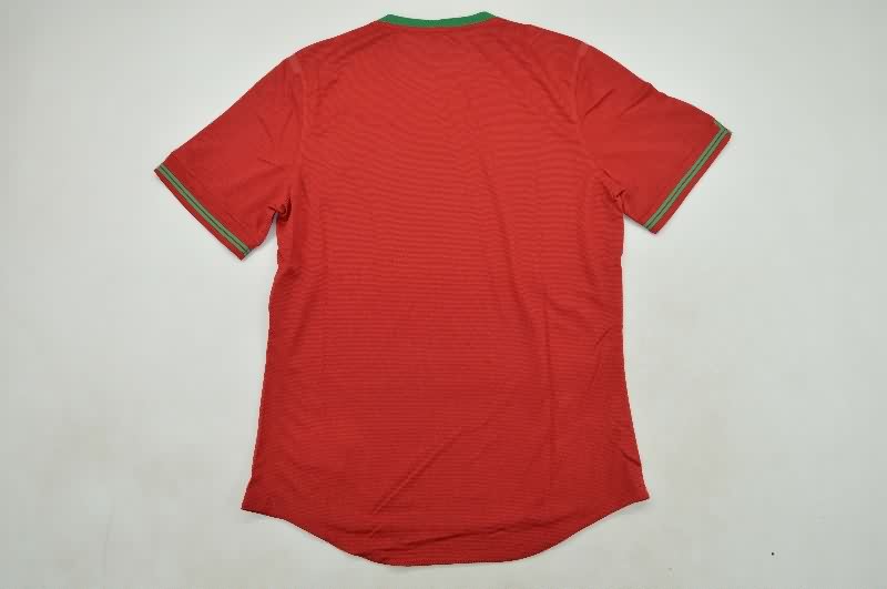 AAA(Thailand) Portugal 2012 Home Retro Soccer Jersey (Player)