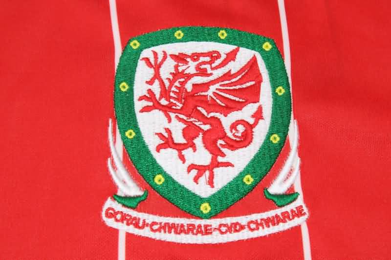 AAA(Thailand) Wales 2015/16 Home Retro Soccer Jersey